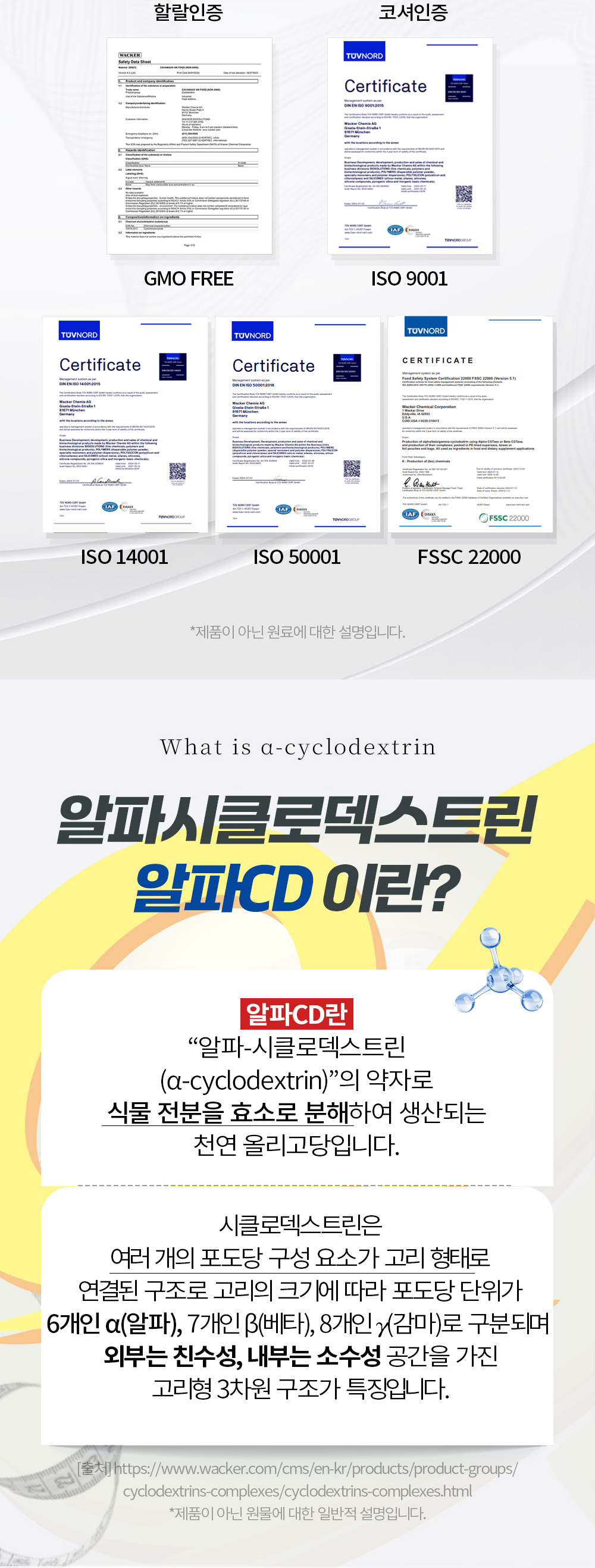 알파CD핏