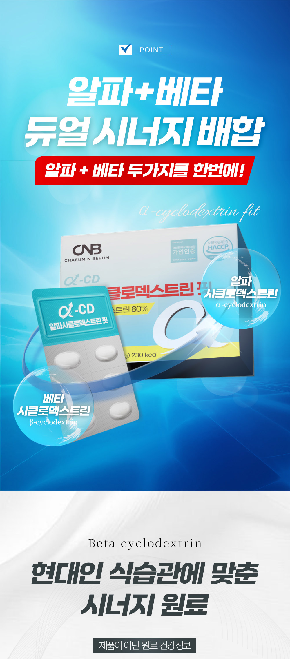 알파CD핏