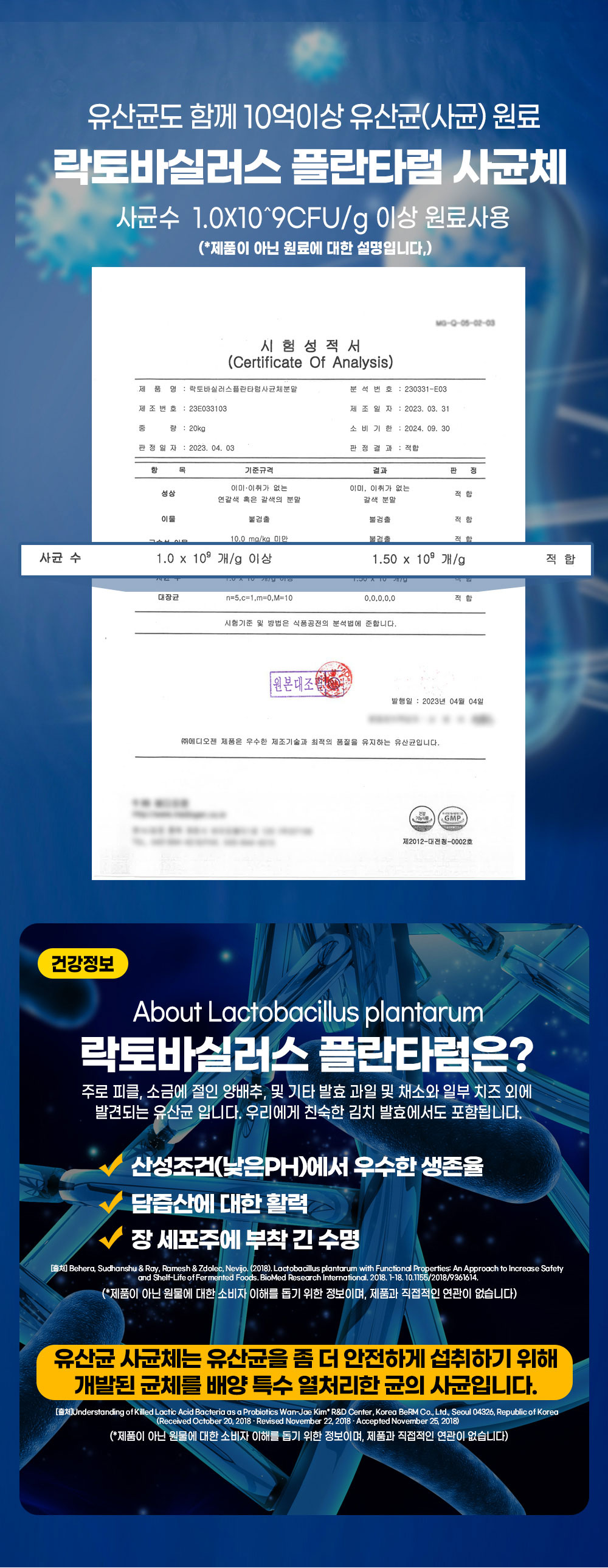 마그구아검가수분해물