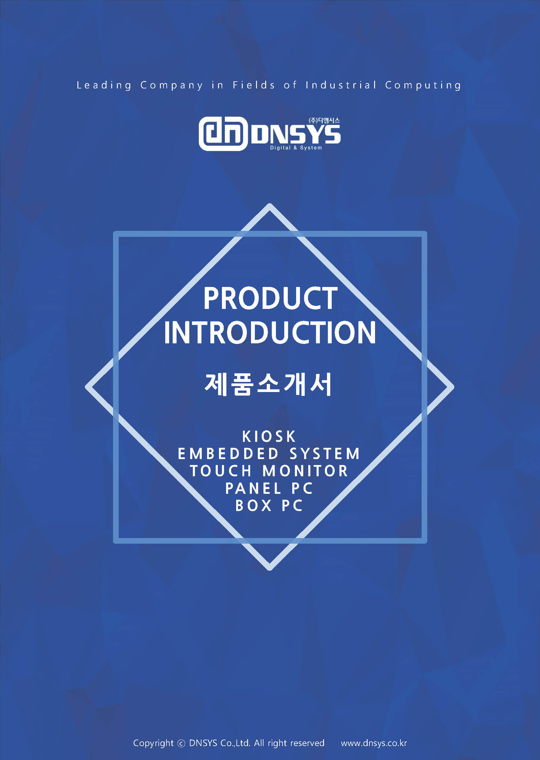 2025%20DNSYS%20Company%20brochure_Page_01.jpg