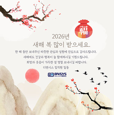 dnsys 2026 greetings