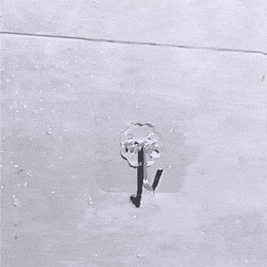 GIF_20241102_073153_094.gif