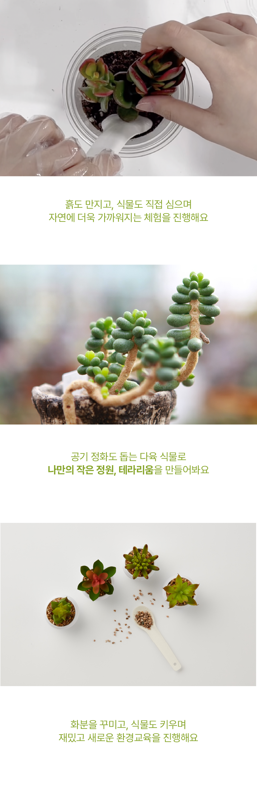 콘텐츠 안내 2