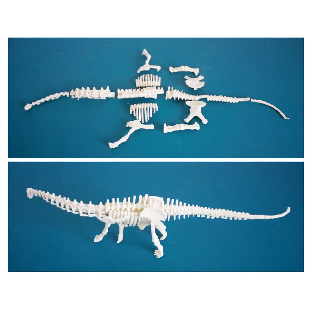 공룡 화석 발굴(야광)