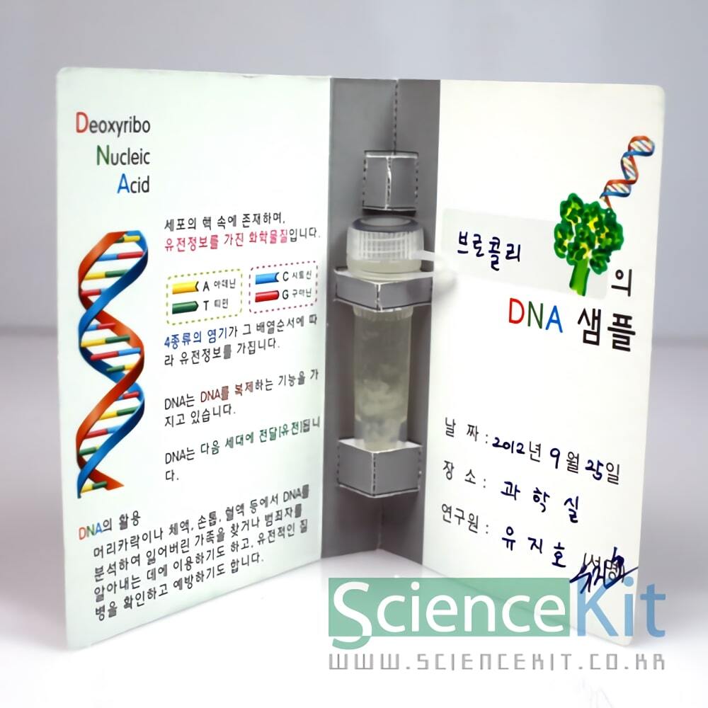 DNA추출 I - 식물세포 4인용