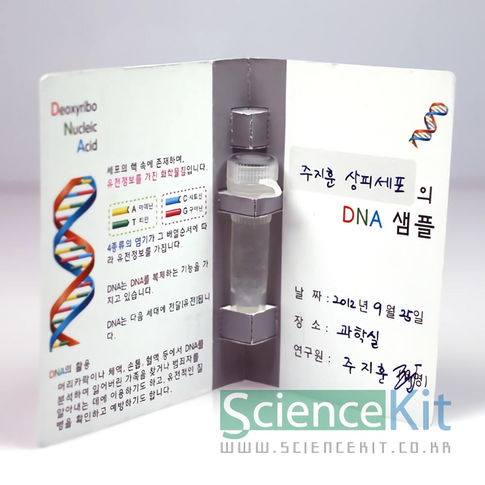 DNA추출 II - 동물세포 4인용