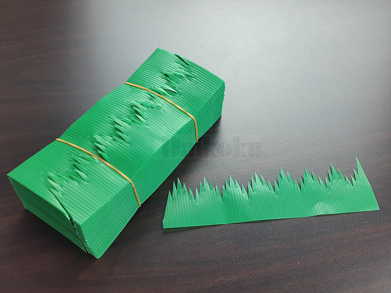 20190418_103549.jpg
