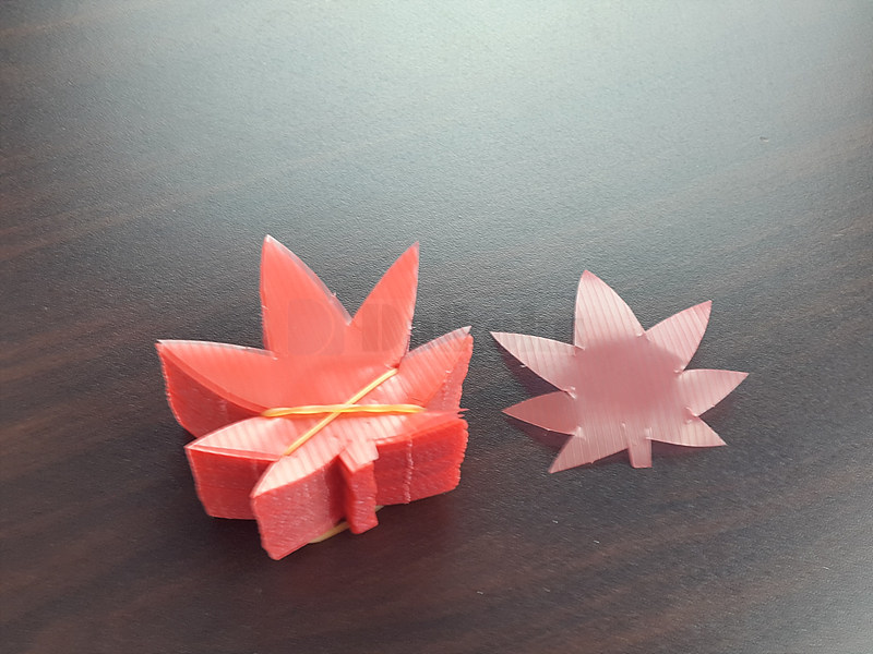 20190418_104352.jpg