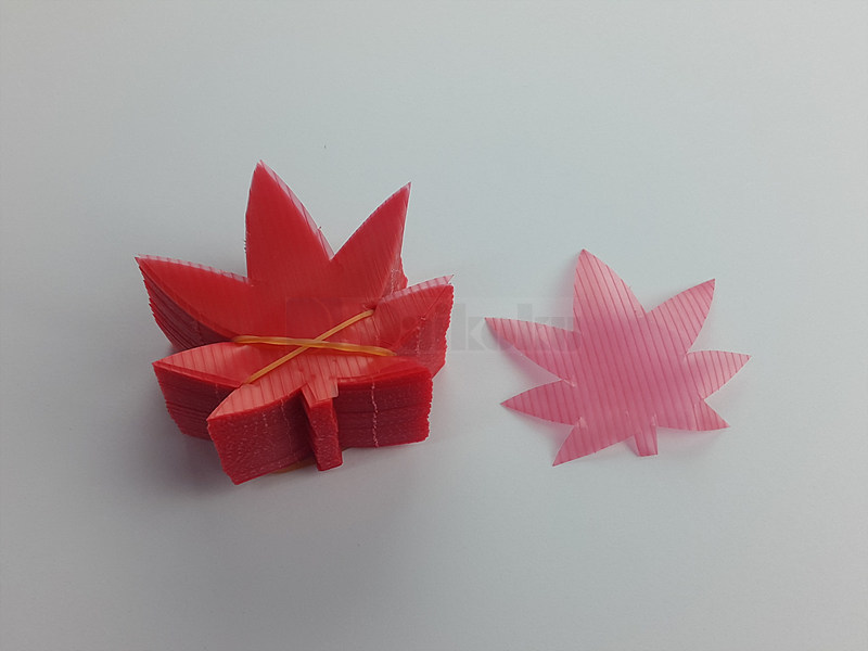 20190418_104439.jpg