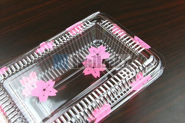 sakura-4.jpg