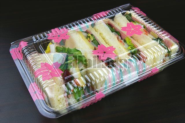 sakura-5.jpg