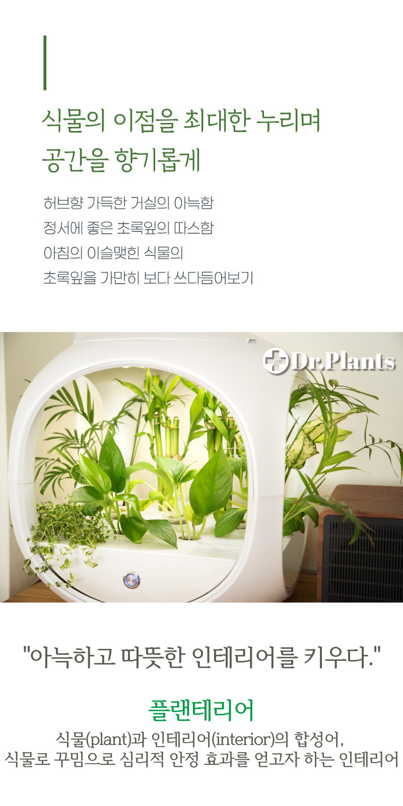 DR-PLANTS001_13.jpg