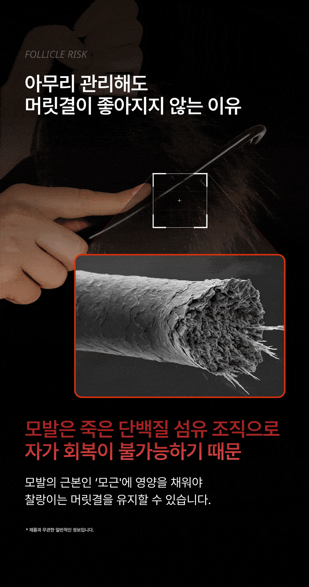 LILYEVE Growturn Exosome Capsule Treatment - description 5