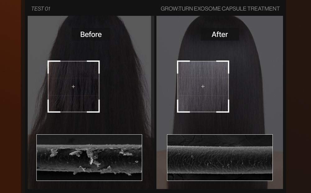 LILYEVE Growturn Exosome Capsule Treatment - description 27