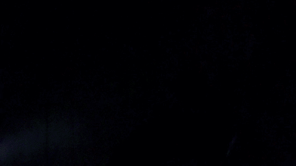 21.GIF