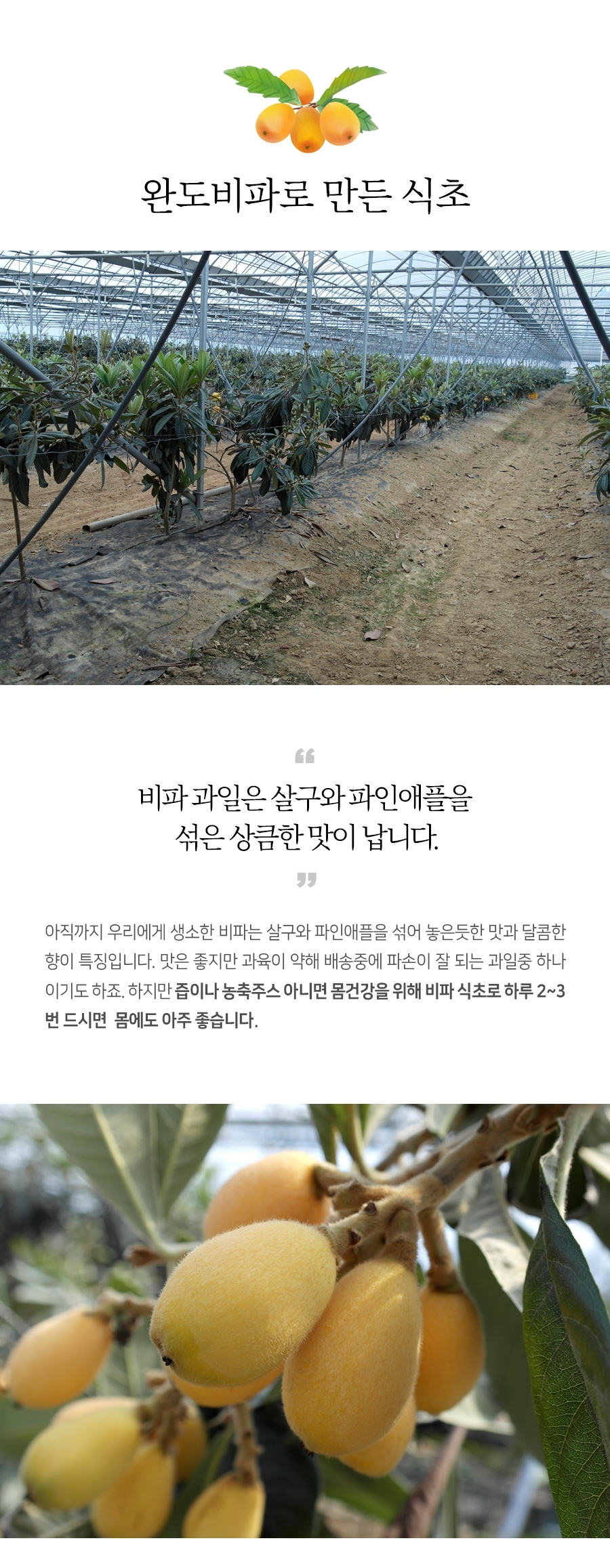 이영의님의 완도 천연발효 비파식초 500ml X 2병-모바일 11번가