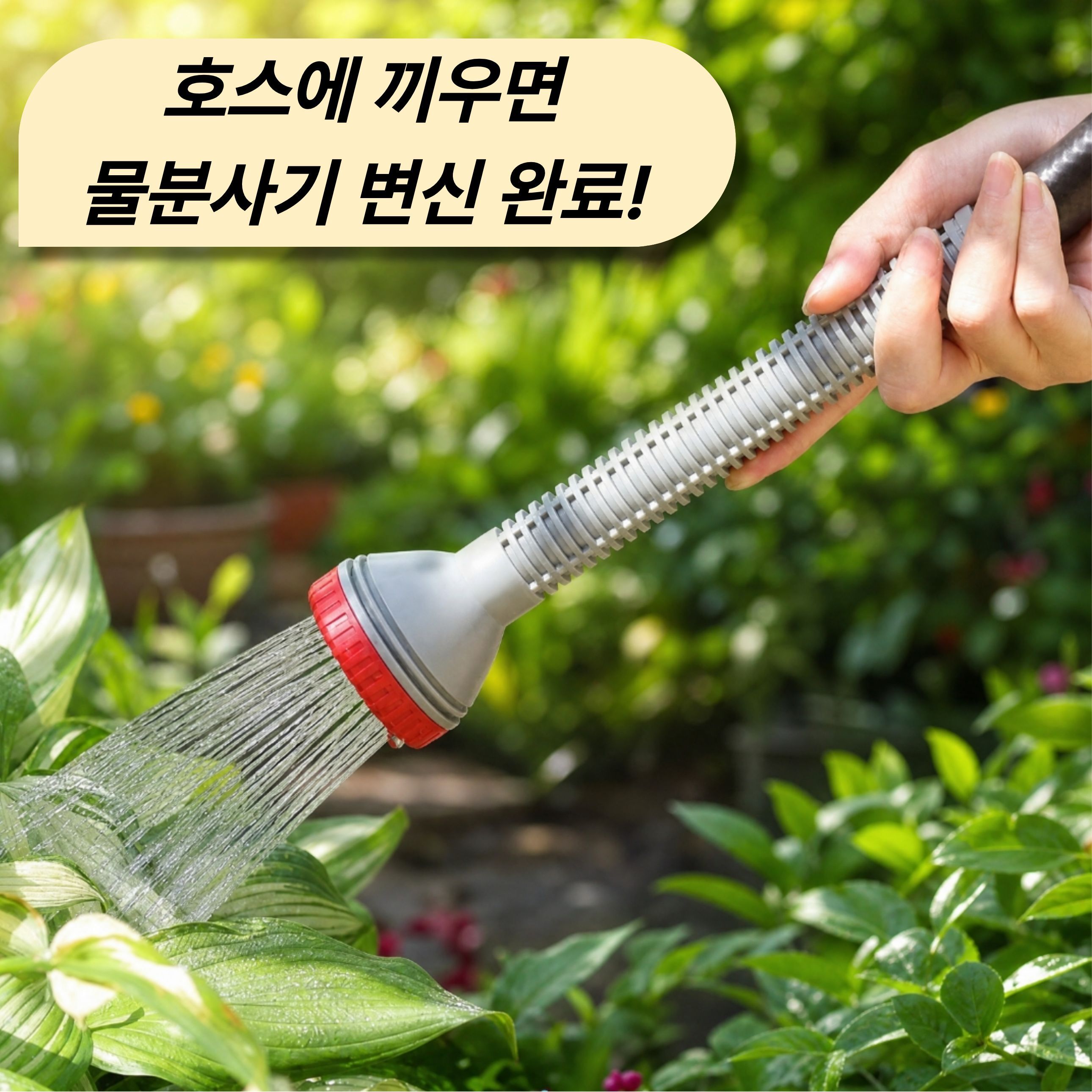 FJH_000533_003.jpg
