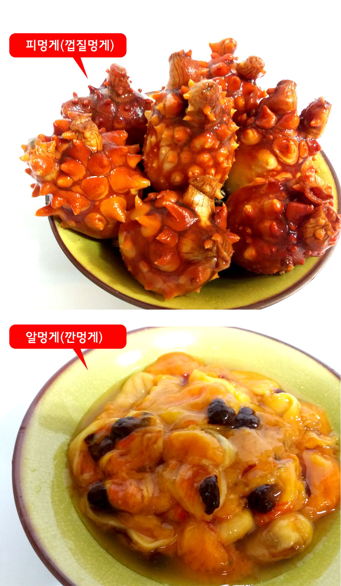 Gmarket - 통영 멍게 껍질깐멍게/알멍게/손질멍게/싱싱멍게 500G