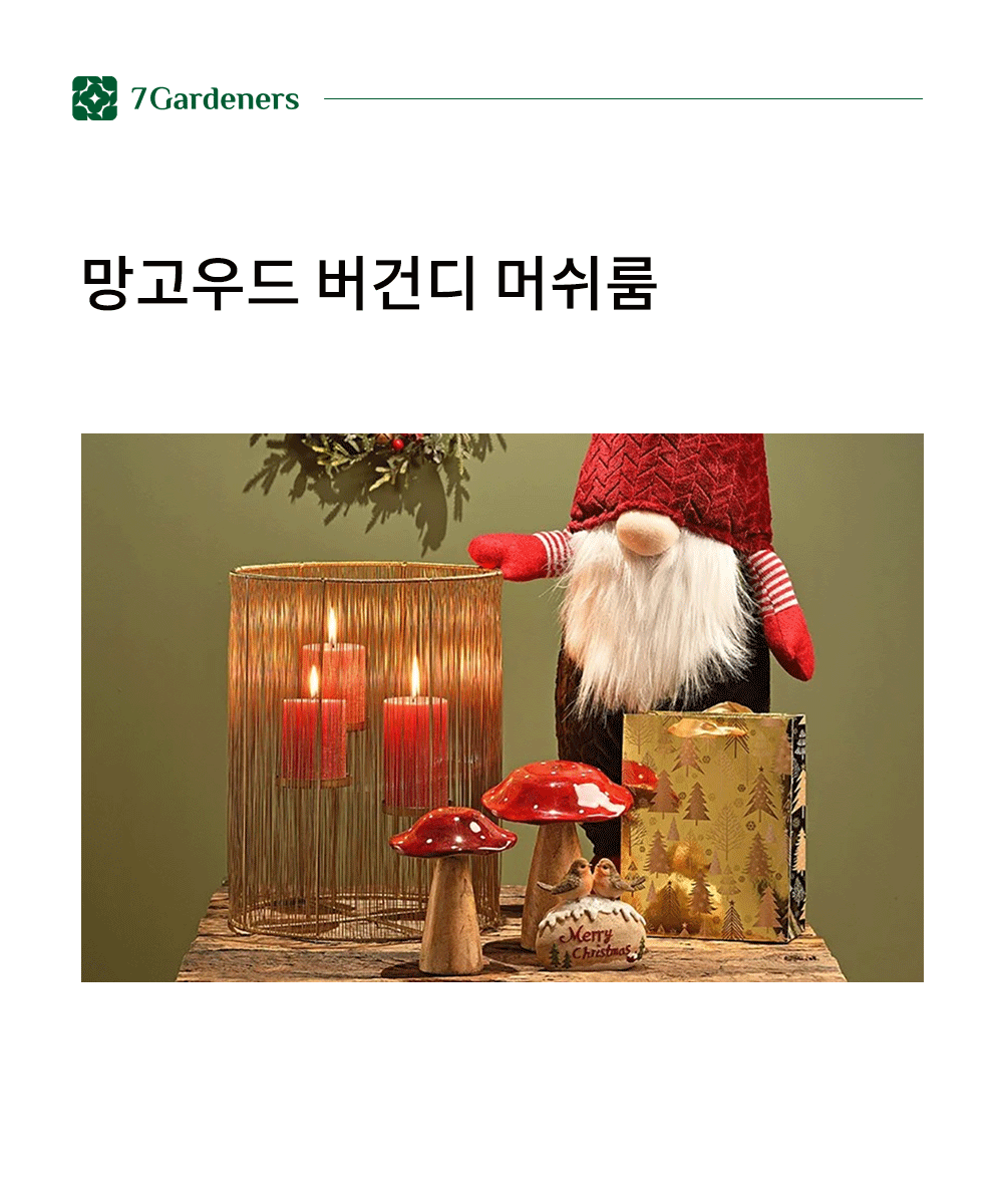 망고우드 버건디 머쉬룸 상세 이미지 1