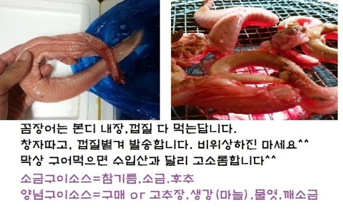 통영 자연산 국산꼼장어1Kg(4인)현지직...