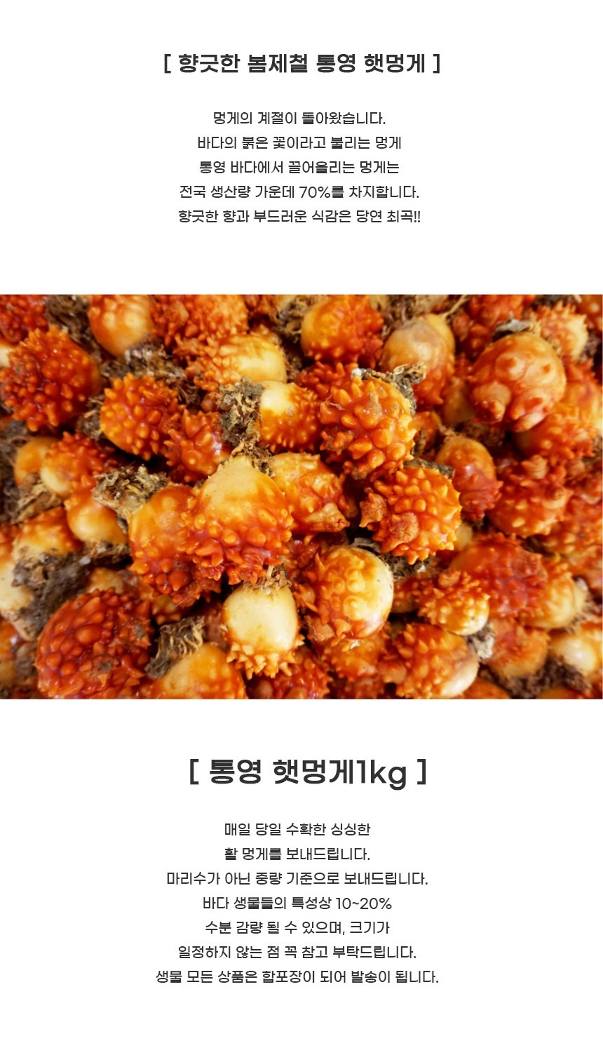 제철 통영 꽃멍게 (대)1Kg 9미내외 ...