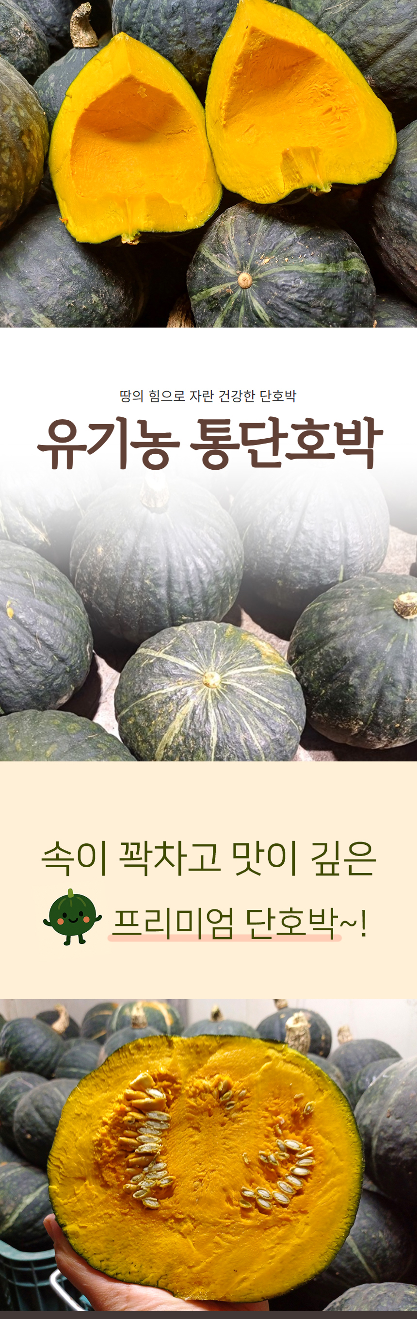 pumpkin01.jpg