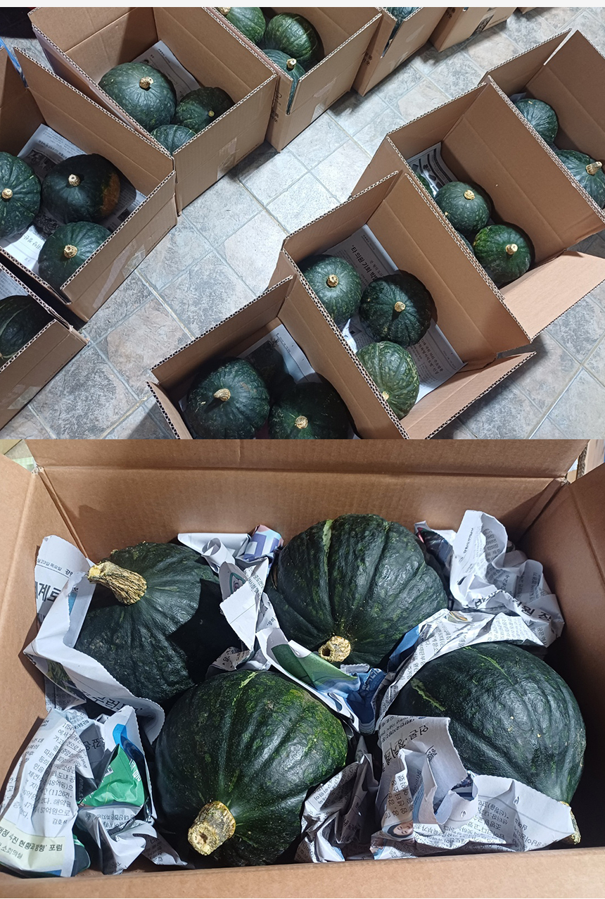 pumpkin04.jpg