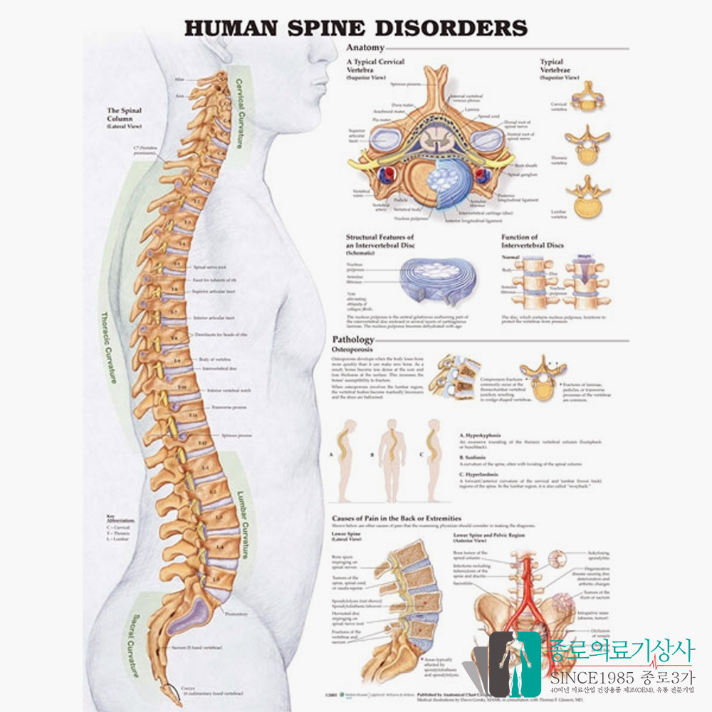 서울종로의료기