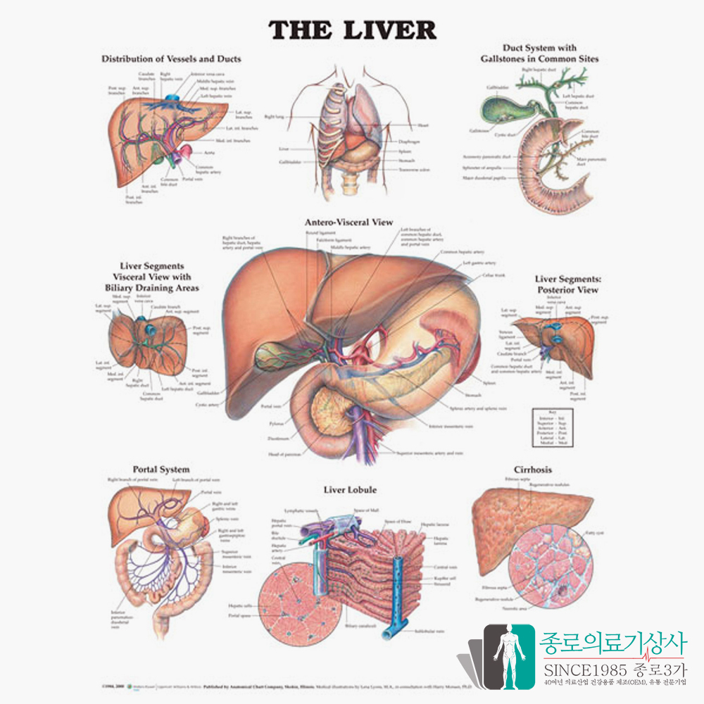 더미통상