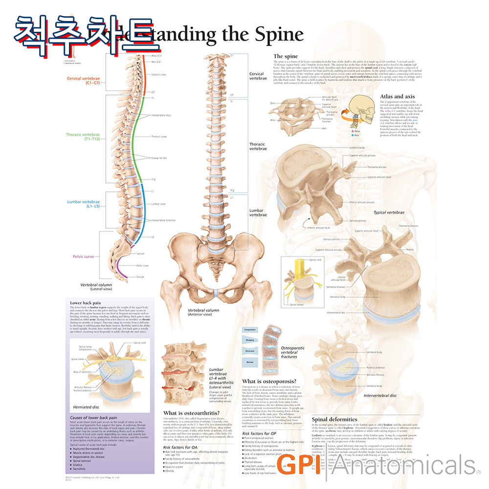 서울종로의료기