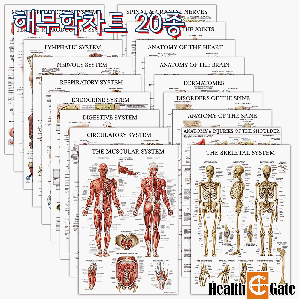 서울종로의료기