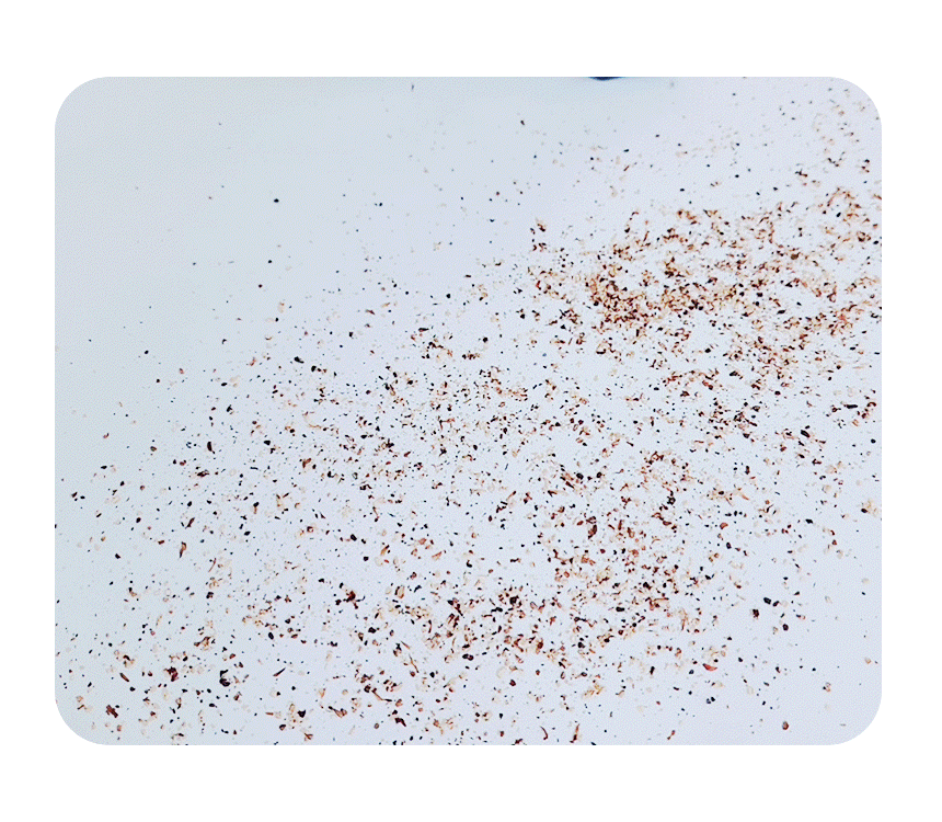 SP1601VC_%EC%8A%A4%ED%8C%94%EB%9D%BC%EC%B2%AD%EC%86%8C%EA%B8%B0_26_1.gif