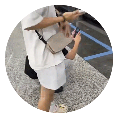 gif.gif