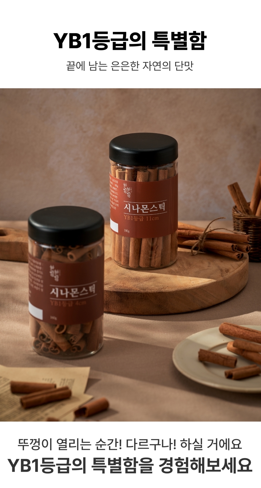YB1등급 시나몬스틱 길이 11cm 4cm-모바일 11번가