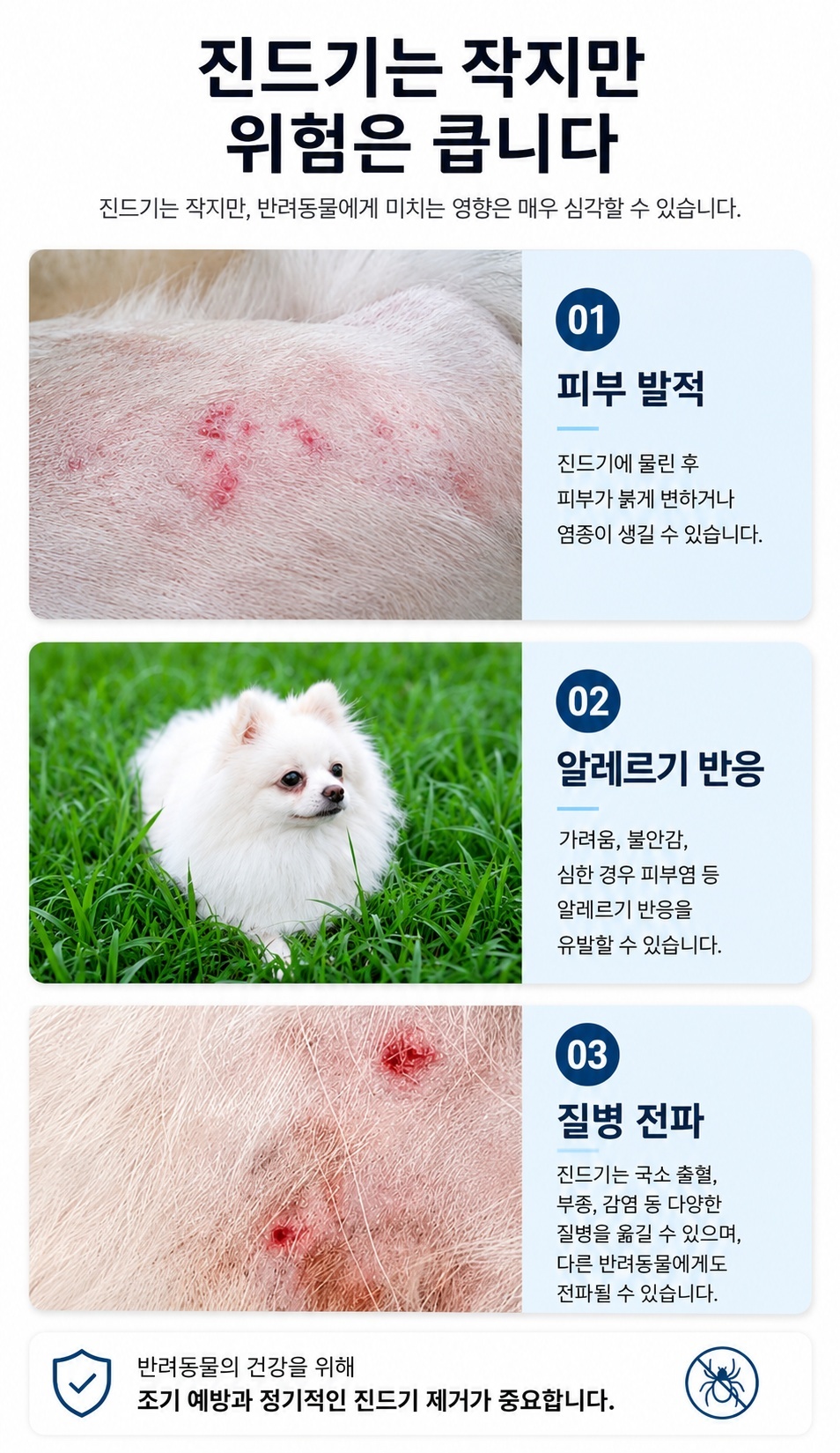 강아지 진드기 제거 제거기 위생 관리 도구 반려동물 고양이 핀셋 집게 쪽집게 4종 세트 상세 이미지 3