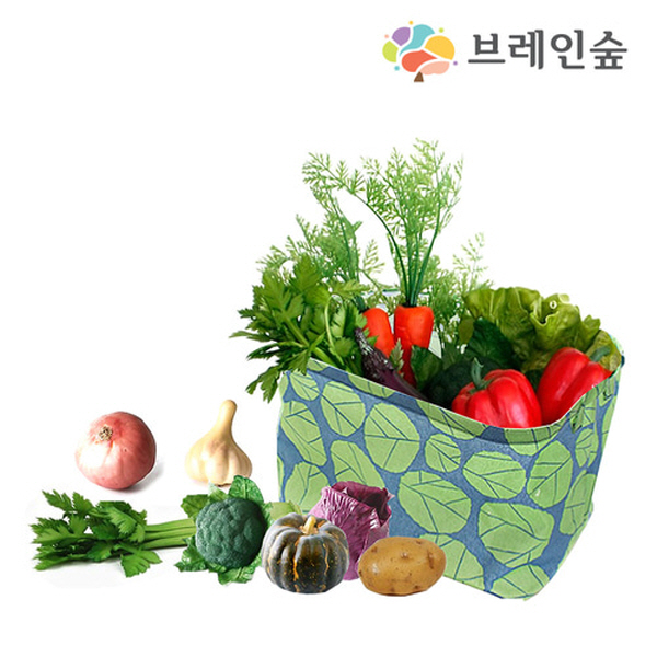 [본사] 브레인숲 말랑말랑 실물야채18종 놀이세트