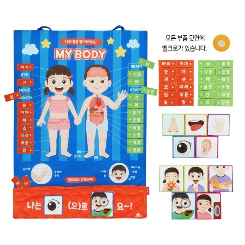 [본사] 매직캐슬 차트 소중한 나의 몸 배우기