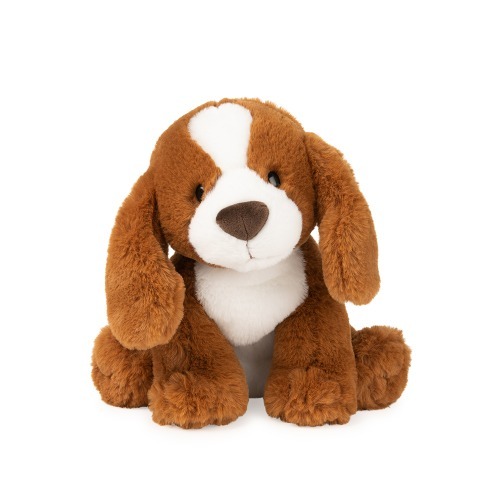 [본사] 건드 스파니엘 강아지 데리고 다니기