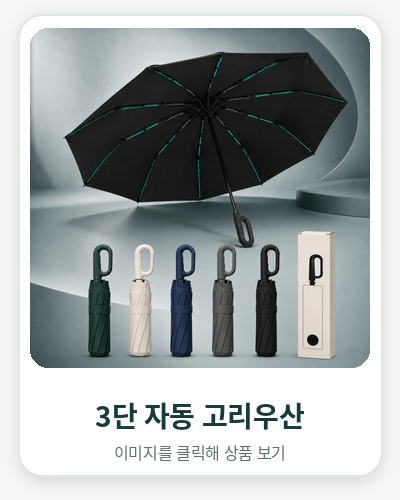 3�� �ڵ� �������