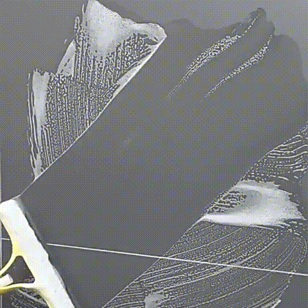 RY_0447_gif03.gif