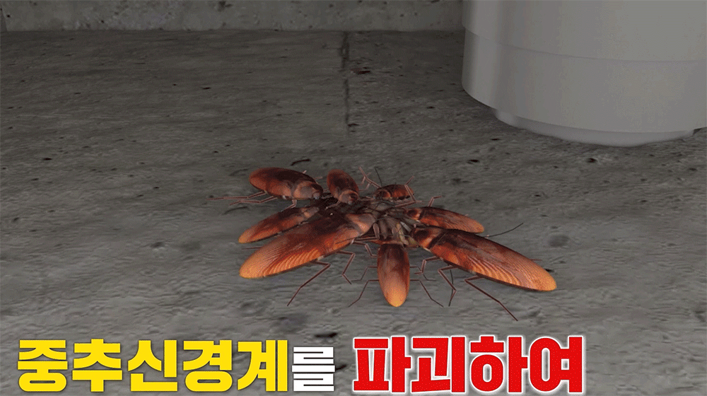 바퀴끝장 시그마포스겔
