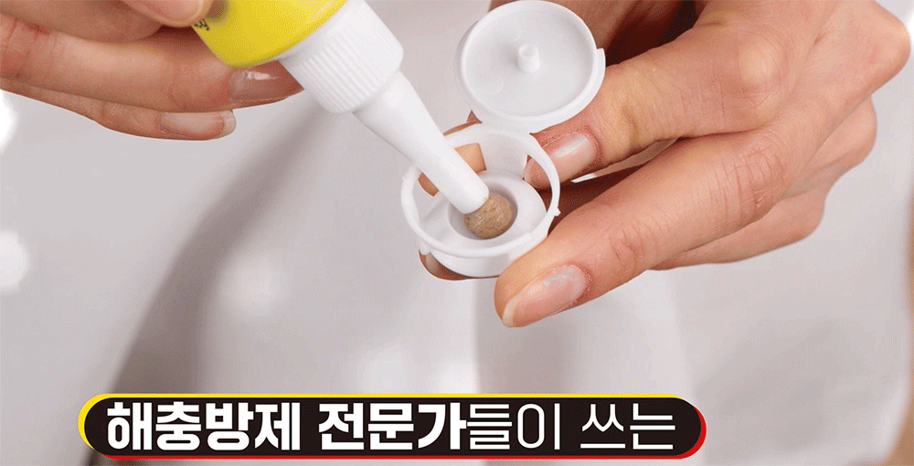 바퀴끝장 시그마포스겔