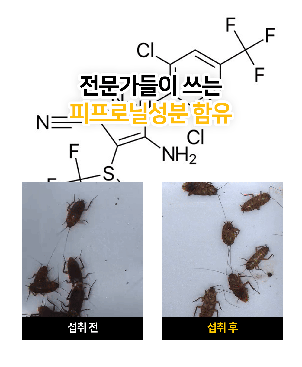 바퀴끝장 시그마포스겔