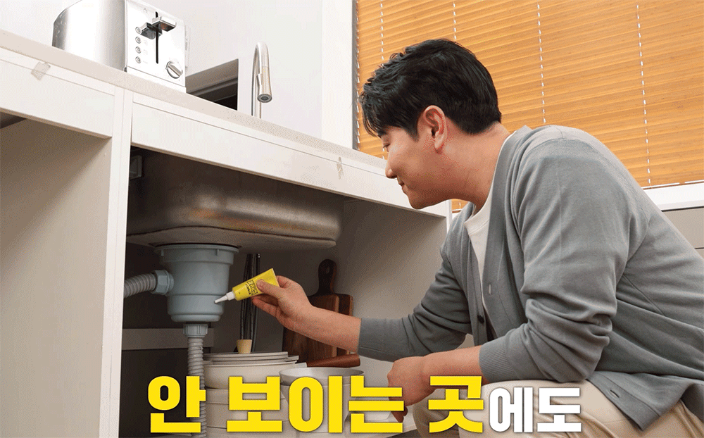 바퀴끝장 시그마포스겔