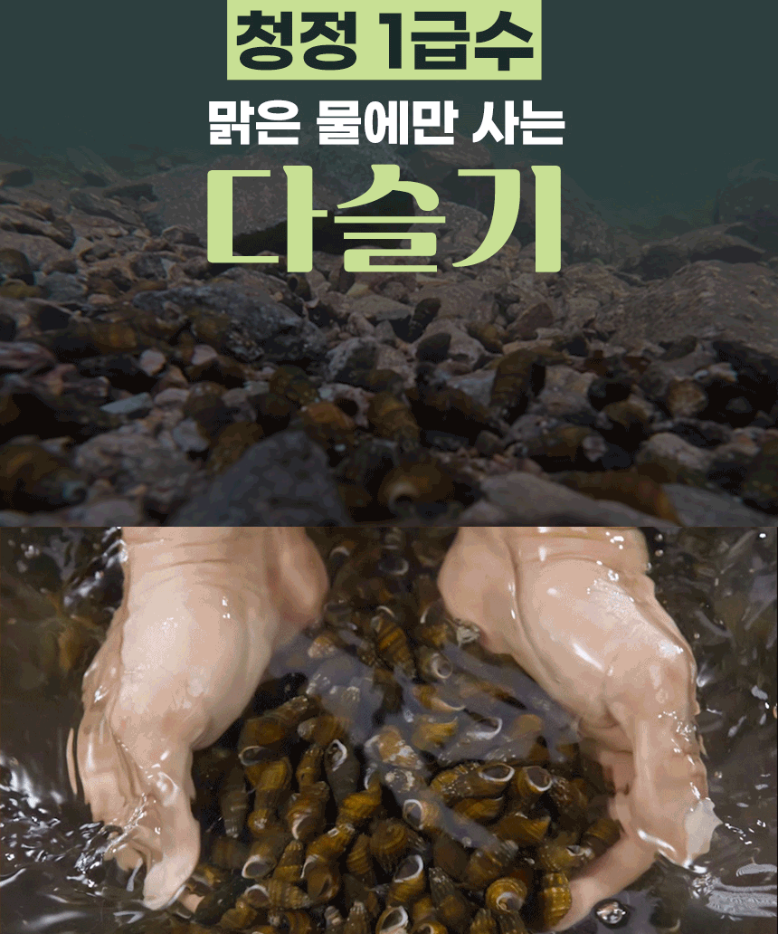 김봉찬 명인 다슬기 해장국