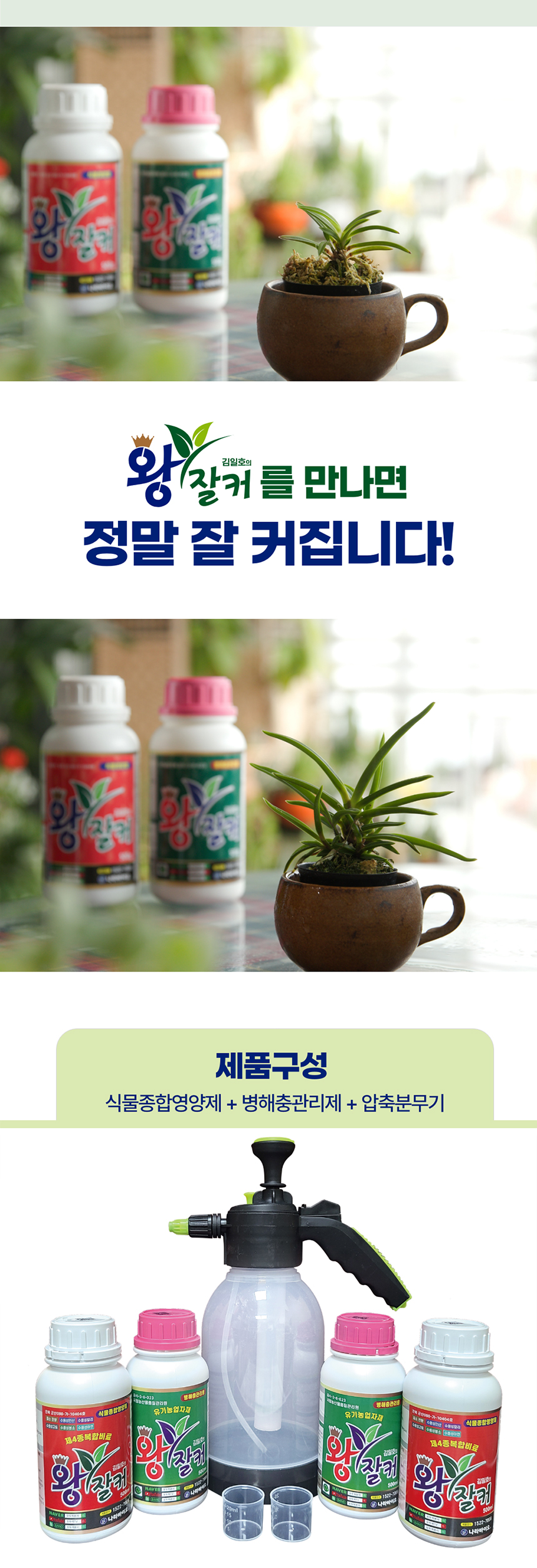 식물영양제 식물박사 김일호의 왕잘커