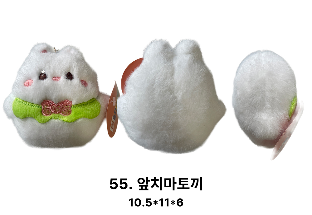 55.jpg