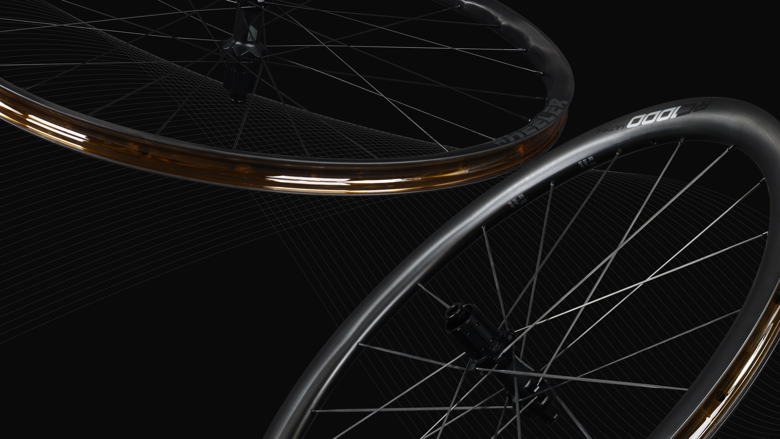 CARBON WHEELSET