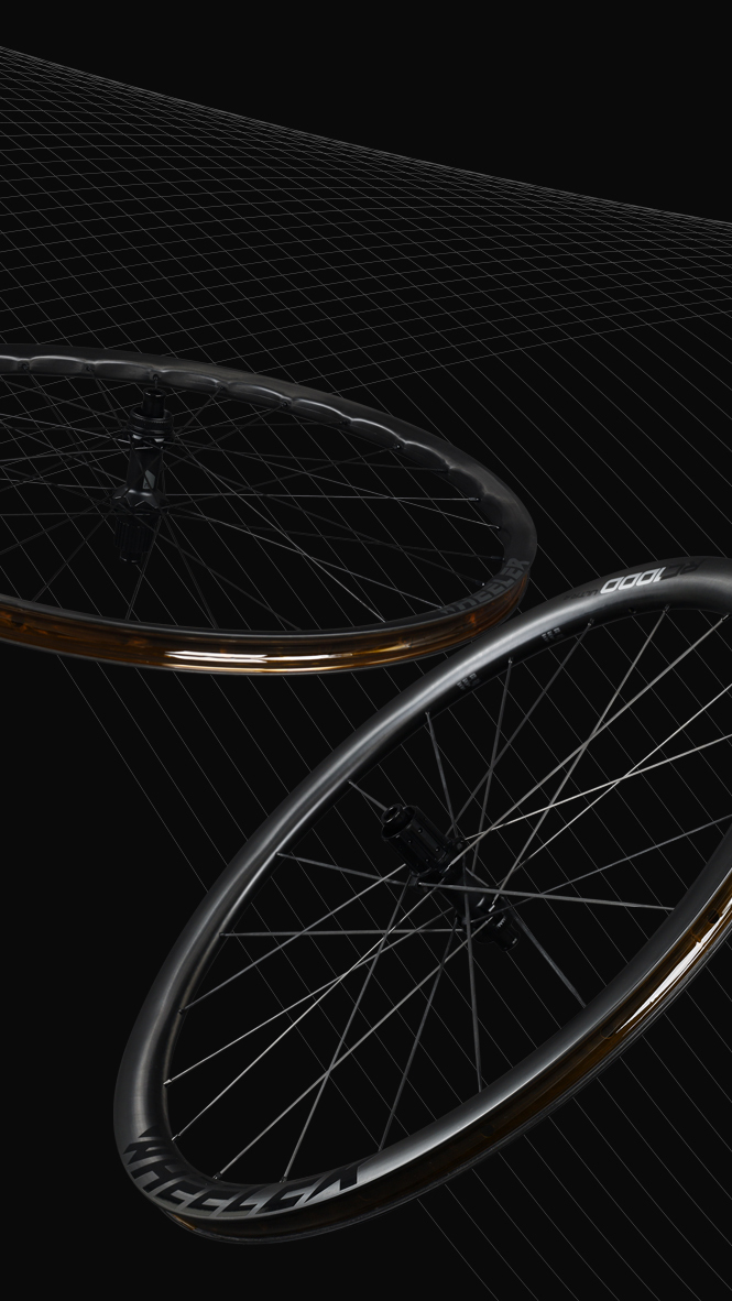 CARBON WHEELSET