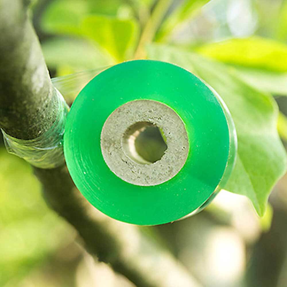 접목 비닐 나무 접목용 테이프 식물 접목테이프 접붙이기 비닐